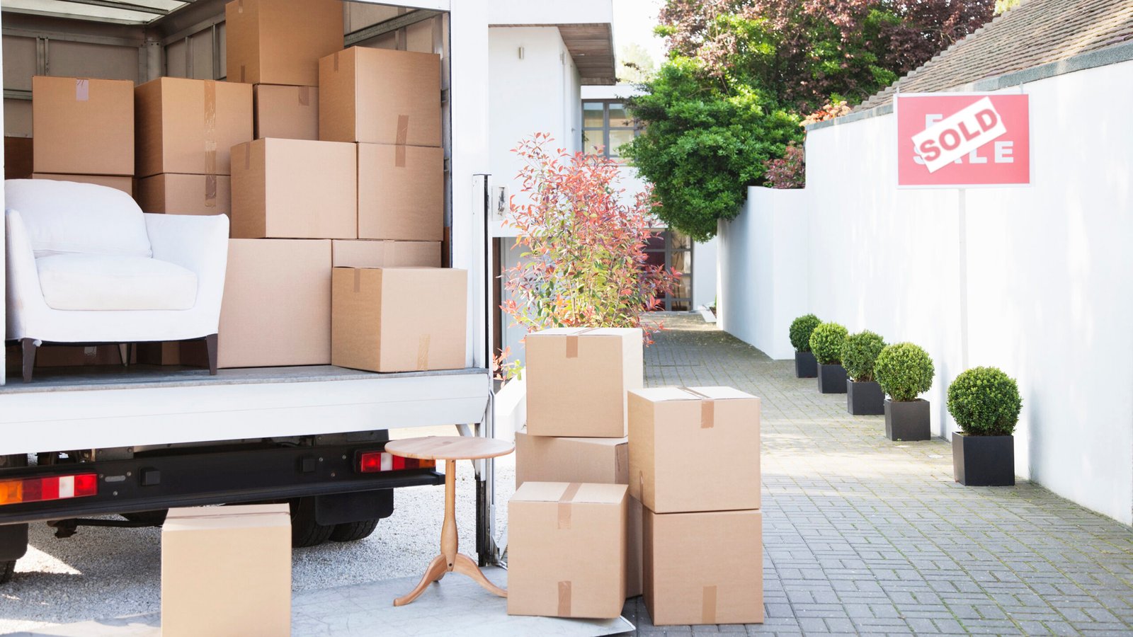 nZHztkKNHgQL7YKFx2zPfK scaled